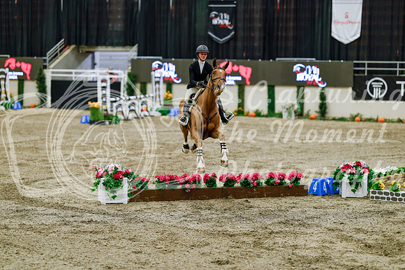 2025 - Haylee - Royal West - Friday October 24th - 07752