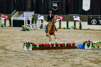 2025 - Haylee - Royal West - Friday October 24th - 07753