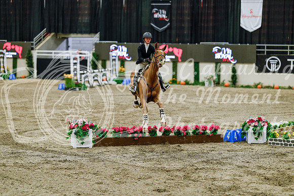 2025 - Haylee - Royal West - Friday October 24th - 07753