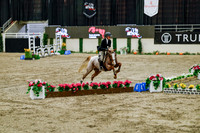 2025 - Haylee - Royal West - Friday October 24th - 07856