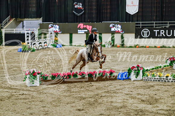 2025 - Haylee - Royal West - Friday October 24th - 07856