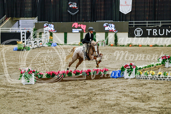 2025 - Haylee - Royal West - Friday October 24th - 07857