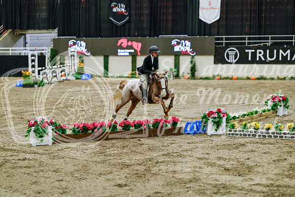2025 - Haylee - Royal West - Friday October 24th - 07858