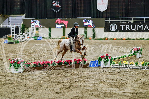 2025 - Haylee - Royal West - Friday October 24th - 07859
