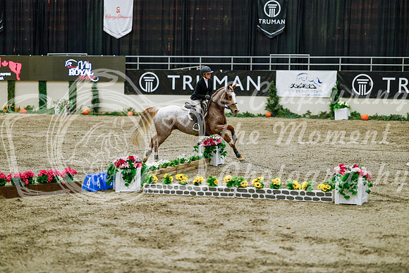 2025 - Haylee - Royal West - Friday October 24th - 07871