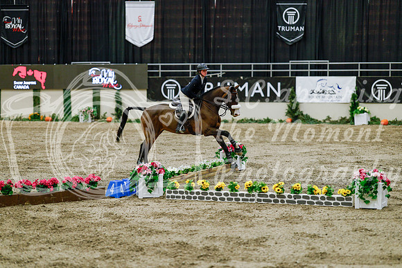 2025 - Haylee - Royal West - Friday October 24th - 08925