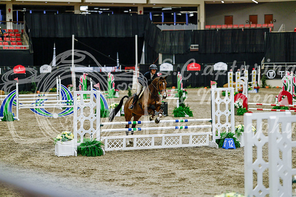 2025 - Haylee - Royal West - Friday October 24th - 06824
