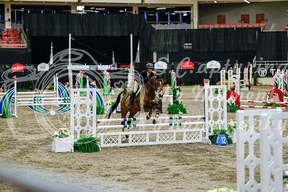 2025 - Haylee - Royal West - Friday October 24th - 06825