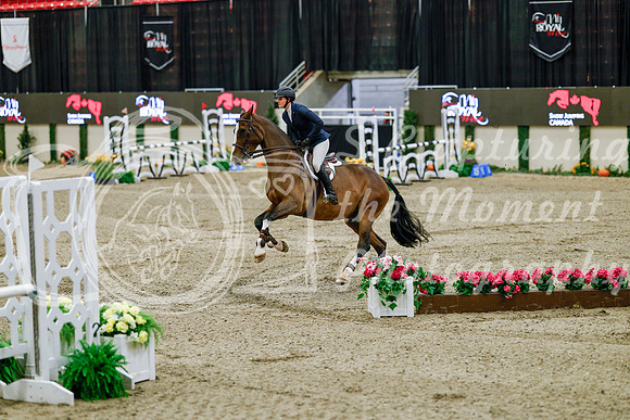 2025 - Haylee - Royal West - Friday October 24th - 08036