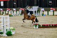 2025 - Haylee - Royal West - Friday October 24th - 08037