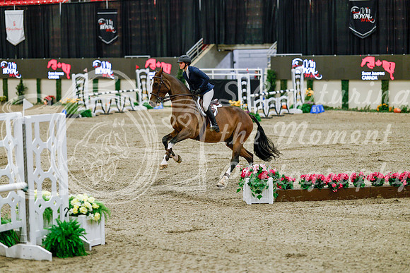 2025 - Haylee - Royal West - Friday October 24th - 08037