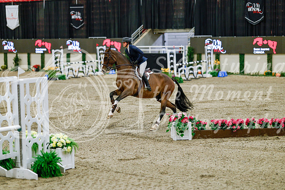 2025 - Haylee - Royal West - Friday October 24th - 08038