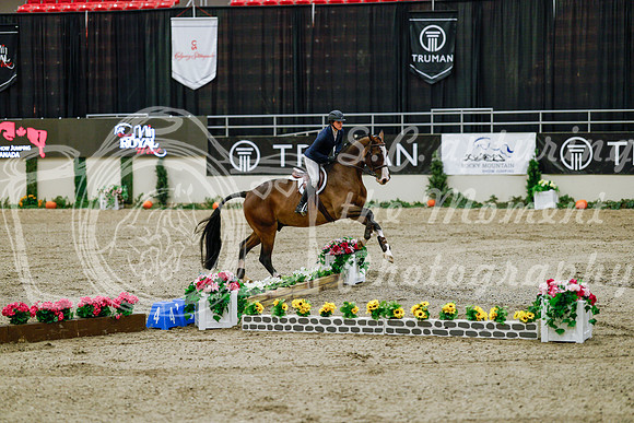 2025 - Haylee - Royal West - Friday October 24th - 08041