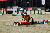 2025 - Haylee - Royal West - Friday October 24th - 08045