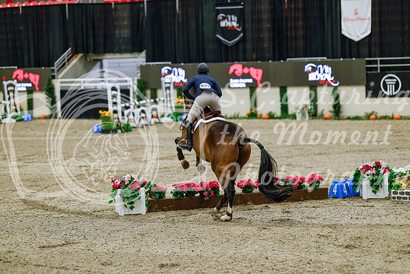 2025 - Haylee - Royal West - Friday October 24th - 08045