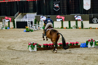 2025 - Haylee - Royal West - Friday October 24th - 08047
