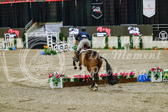 2025 - Haylee - Royal West - Friday October 24th - 08047