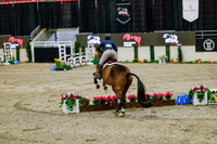 2025 - Haylee - Royal West - Friday October 24th - 08046