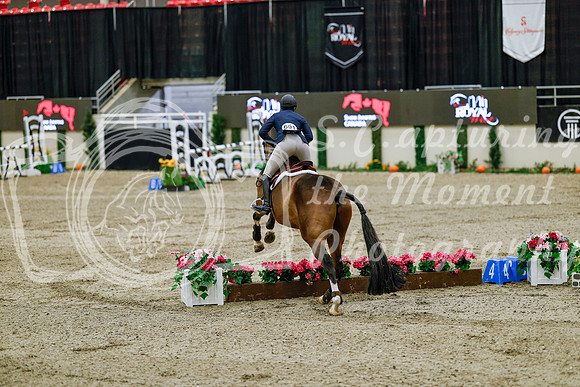 2025 - Haylee - Royal West - Friday October 24th - 08049