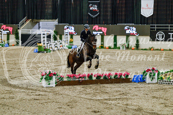 2025 - Haylee - Royal West - Friday October 24th - 07299