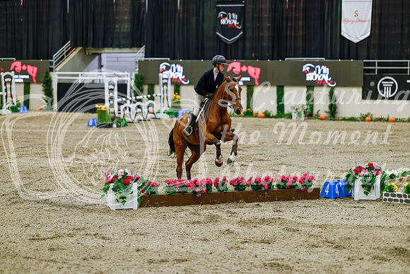 2025 - Haylee - Royal West - Friday October 24th - 08318
