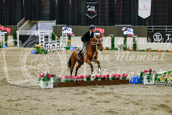 2025 - Haylee - Royal West - Friday October 24th - 08322