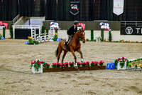 2025 - Haylee - Royal West - Friday October 24th - 08323