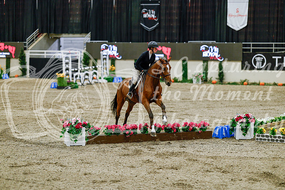 2025 - Haylee - Royal West - Friday October 24th - 08323