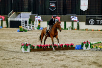 2025 - Haylee - Royal West - Friday October 24th - 08324
