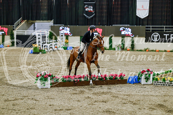 2025 - Haylee - Royal West - Friday October 24th - 08324