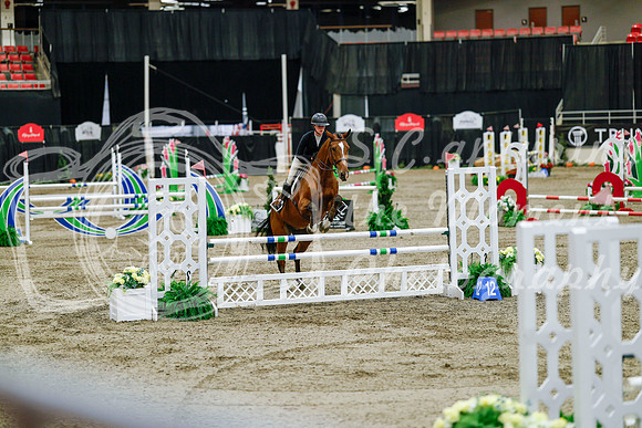 2025 - Haylee - Royal West - Friday October 24th - 08341