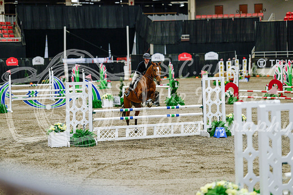 2025 - Haylee - Royal West - Friday October 24th - 08343
