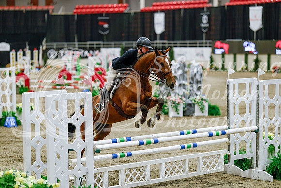 2025 - Haylee - Royal West - Friday October 24th - 08349
