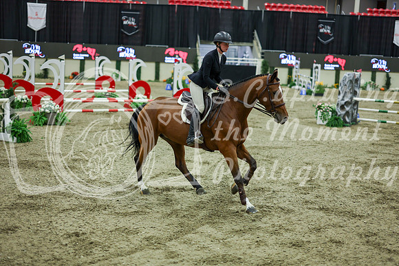 2025 - Shea - Royal West - Friday October 24th - 10664