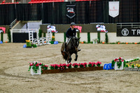 2025 - Haylee - Royal West - Friday October 24th - 07209