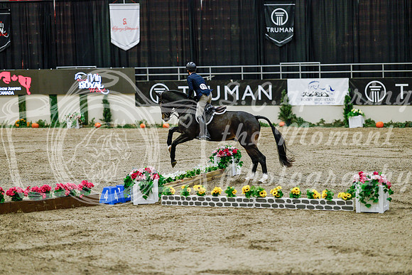 2025 - Haylee - Royal West - Friday October 24th - 07215