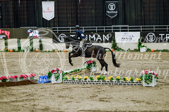 2025 - Haylee - Royal West - Friday October 24th - 07214