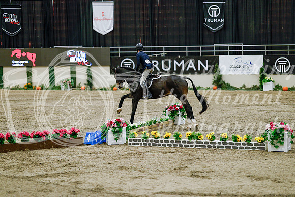 2025 - Haylee - Royal West - Friday October 24th - 07218