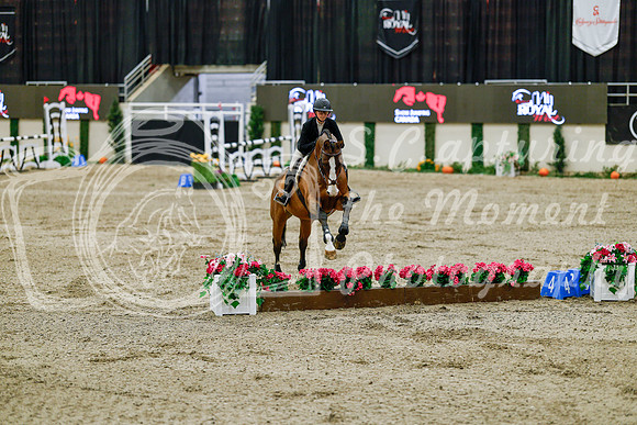 2025 - Haylee - Royal West - Friday October 24th - 08231