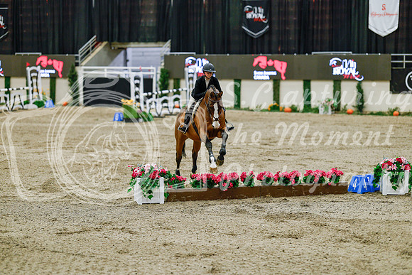 2025 - Haylee - Royal West - Friday October 24th - 08232