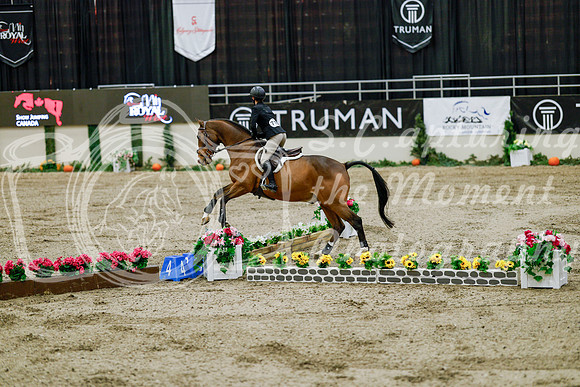2025 - Haylee - Royal West - Friday October 24th - 08244
