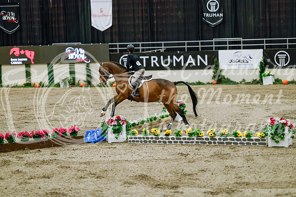 2025 - Haylee - Royal West - Friday October 24th - 08245