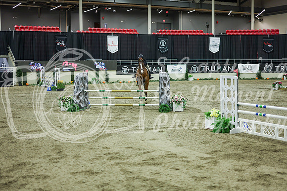 2025 - Shea - Royal West - Friday October 24th - 10580