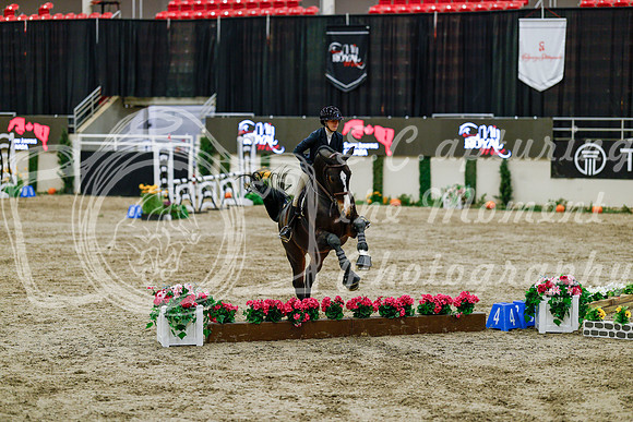 2025 - Haylee - Royal West - Friday October 24th - 06589