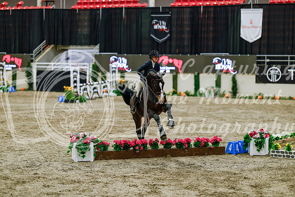 2025 - Haylee - Royal West - Friday October 24th - 06590