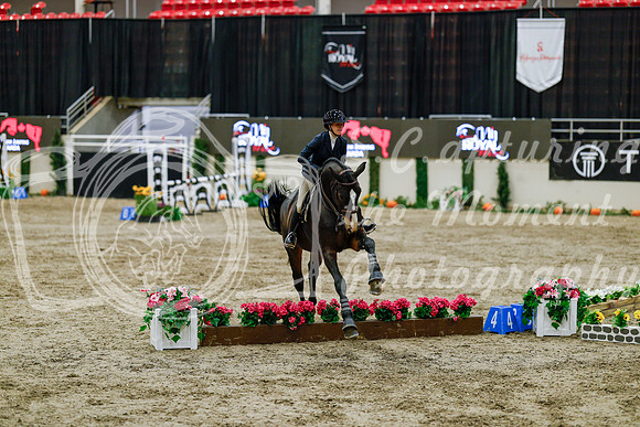 2025 - Haylee - Royal West - Friday October 24th - 06592