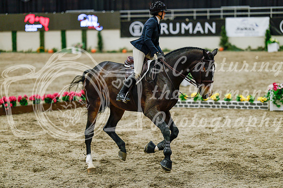 2025 - Haylee - Royal West - Friday October 24th - 06593