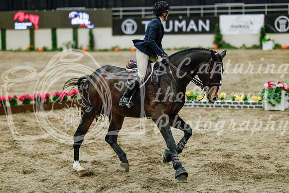 2025 - Haylee - Royal West - Friday October 24th - 06595