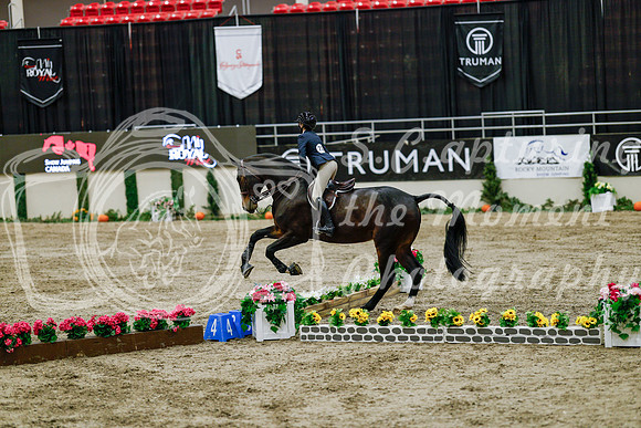 2025 - Haylee - Royal West - Friday October 24th - 06598