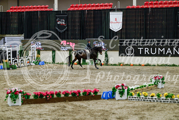 2025 - Haylee - Royal West - Friday October 24th - 06606